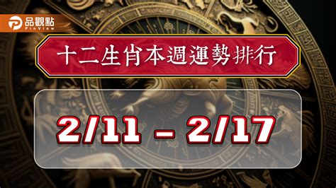 2024生肖兔運勢|2024年12生肖运势完整版详解,十二生肖2024年兔年每月运程大全…